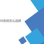 wms系統(tǒng)怎么選擇？
